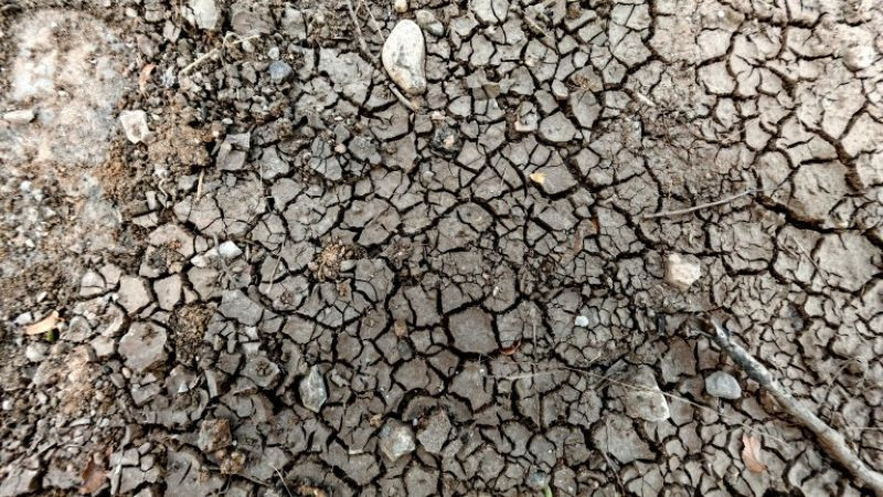 Тома Белев: Един милион българи имат вода, но тя не става за пиене